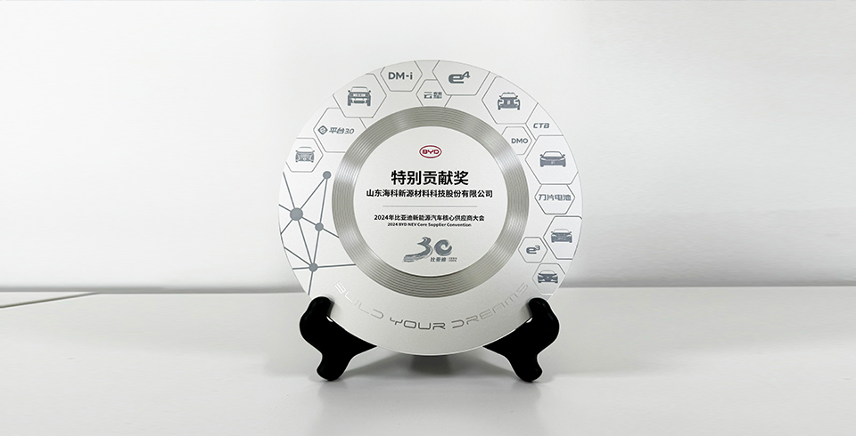 星空官方网站-星空online（中国）
新源连续四年再度荣获比亚迪2024年“特别贡献奖”