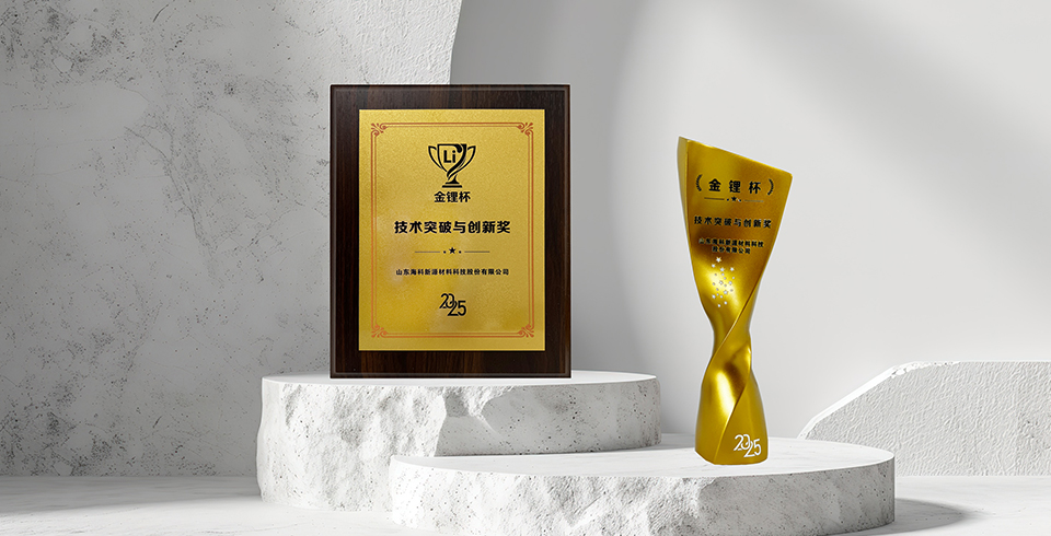 喜报 | 星空官方网站-星空online（中国）
新源荣获真锂研究“技术突破与创新奖”